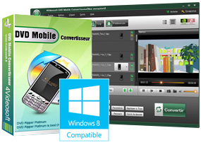 DVD Mobile Convertisseur